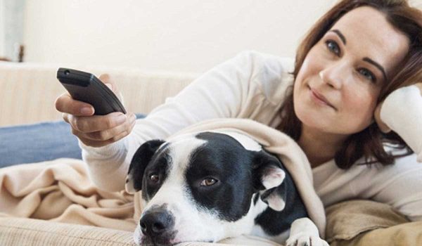 الكلاب في حياتنا.. بين الدلالة الثقافية والممارسة&nbsp;الاجتماعية